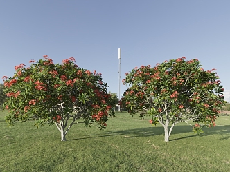 tree flowering tree landscape tree oleander peach tree flower tree 3d model