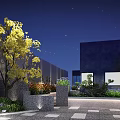 Starry Night Garden With Yellow Tree Diverse Plants Stone Pavement And Modern Building