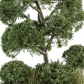 Lush Green Trees And Shrubs In Decorative Flower Bed And Planter Landscape Design