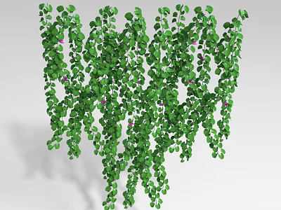 Natural Lush Green Hanging Vines With Trailing Leaves And Purple Flowers 3d model