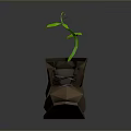 Brown Leather Boots With Green Plant Growing Inside Low Poly Design