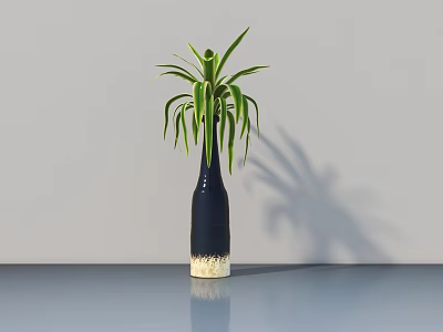 Dark Colored Vase with Long Green Leaves on Smooth Surface and Gray Wall Shadow 3d model