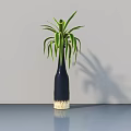Dark Colored Vase with Long Green Leaves on Smooth Surface and Gray Wall Shadow
