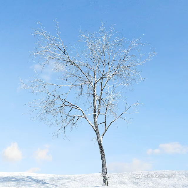 Leafless Tree With Snow Covered Trunk Against Blue Sky And White Clouds 3d model 