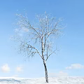Leafless Tree With Snow Covered Trunk Against Blue Sky And White Clouds 3d model