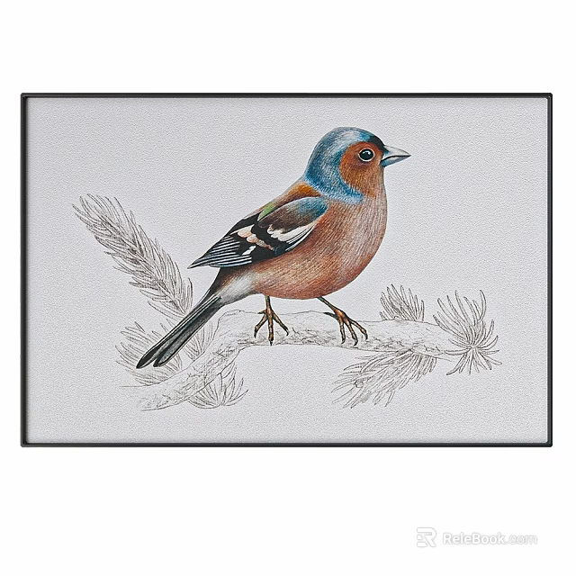 Colorful Bird Perched On Branch With Pine Needles Hand Drawn Illustration 3d model 