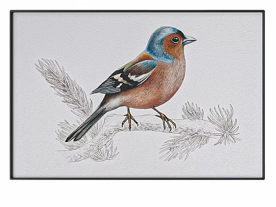 Colorful Bird Perched On Branch With Pine Needles Hand Drawn Illustration 3d model