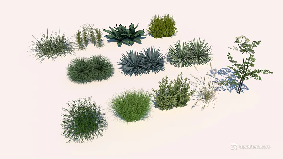 Diverse Collection of Green Plants Featuring Shrubs Herbs and Ornamental Grasses 3d model 