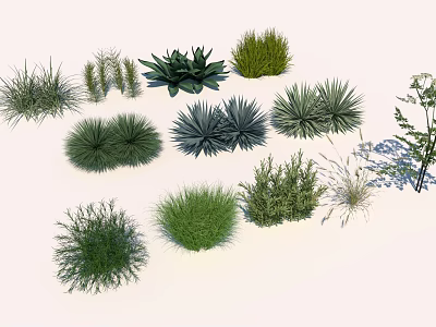 Diverse Collection of Green Plants Featuring Shrubs Herbs and Ornamental Grasses 3d model