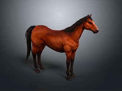 Brown Horse Standing With Dark Mane Against Gray Gradient Background In Side View 3d model