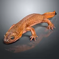 Detailed Brown Salamander With Textured Skin On Smooth Reflective Surface 3d model