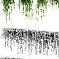 Lush Indoor Hanging Potted Plants With Trailing Vines On Shelves