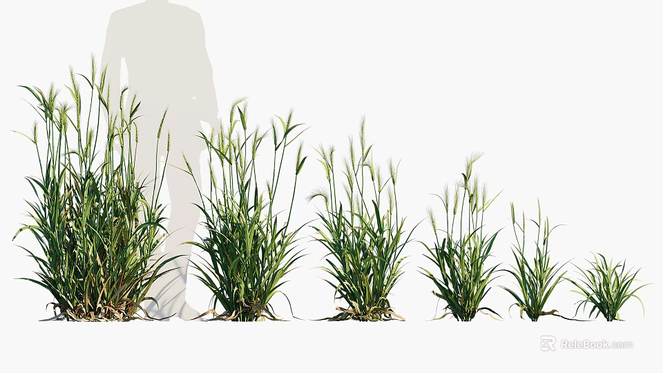 Healthy Crop Plants In Different Growth Stages With Farmer Monitoring Growth 3d model 