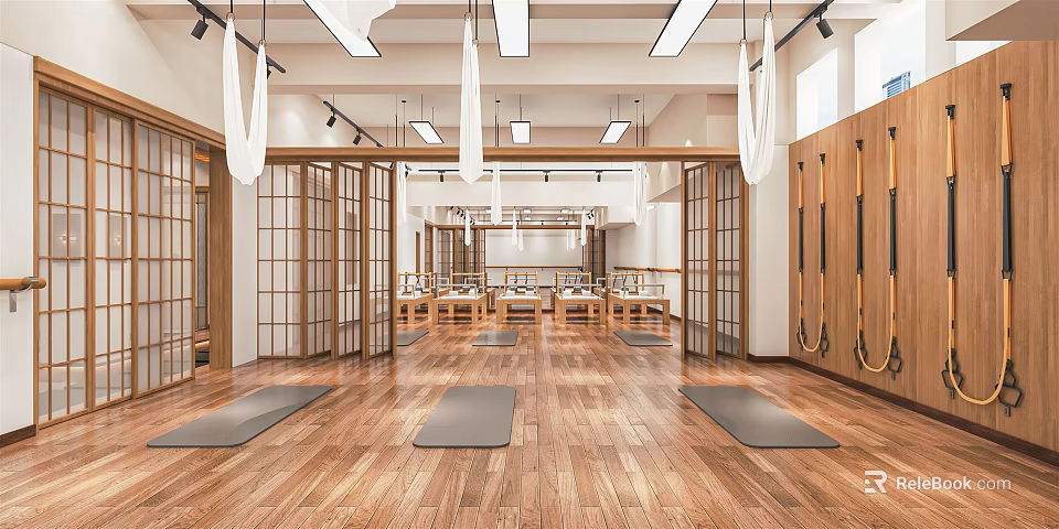 Spacious Bright Yoga Studio With Wooden Flooring Yoga Mats Hammocks And Lockers 3d model 