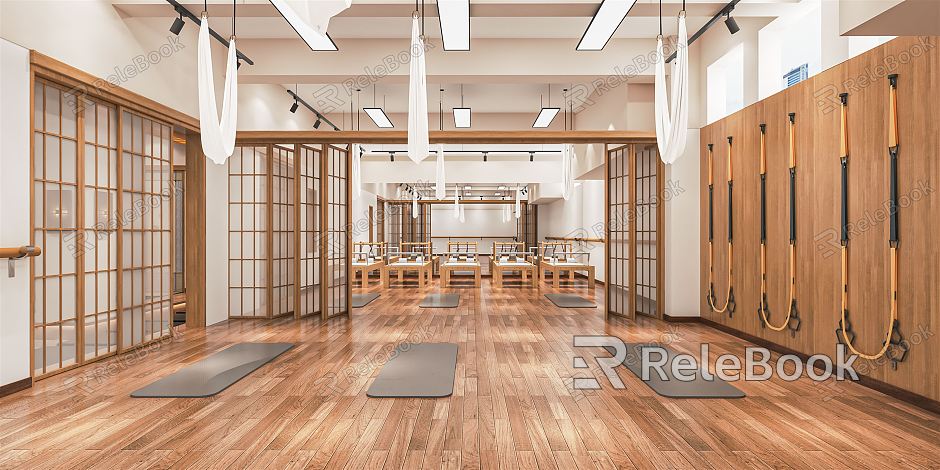 Modern Yoga Room Private Teaching Room Gym Pilates Exercise Room Yoga Mat Yoga Ball Hanging Rope Hanging Ring model