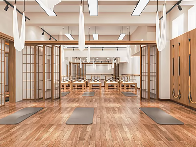 Spacious Bright Yoga Studio With Wooden Flooring Yoga Mats Hammocks And Lockers 3d model