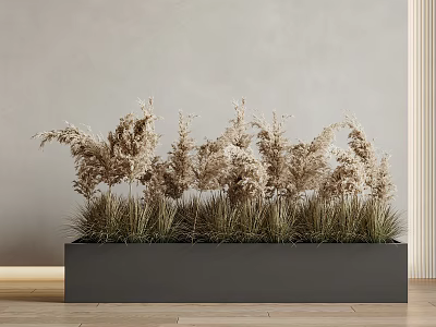 Bonsai Potted Plant In Gray Rectangular Planter With Dried Grasses Light Wall And Wooden Floor 3d model