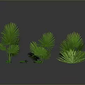Green Tropical Plants With Various Leaf Shapes Sizes On Dark Background With Reflections 3d model