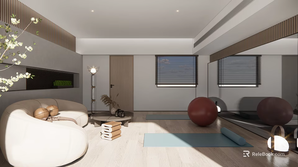 Modern Home Fitness Space With Yoga Mat Exercise Ball And Mirror 3d model 