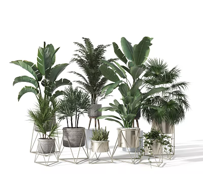Various Lush Potted Green Plants With Metal Stands And Decorative Planters 3d model