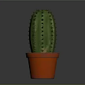 Green Cactus Plant With Sharp Spines In Orange Terracotta Pot On Gray Background