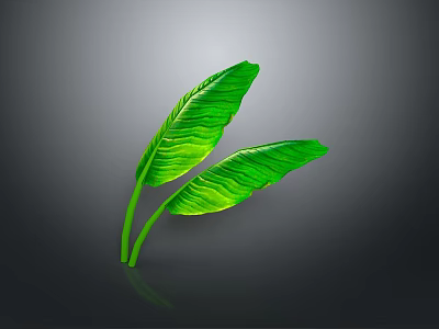 Fresh Green Herb Leaves as Natural Food Ingredient for Healthy Dishes 3d model