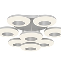 Light Luxury Ceiling Lamp 3d model