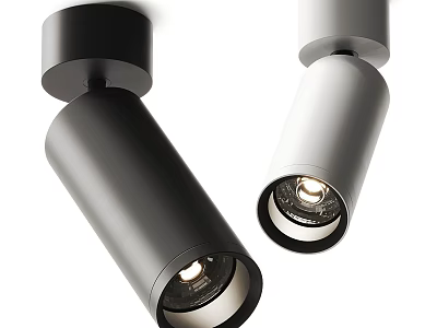 Sleek Modern Black And White Downlights Spotlights With Cylindrical Design For Indoor Lighting 3d model