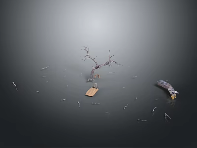 Gray Background Featuring Wooden Branch Stone Piece Wooden Plank And Scattered Fragments 3d model