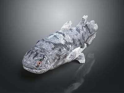 Gray and Black Striped Fish With Red Eyes on Dark Detailed Background 3d model