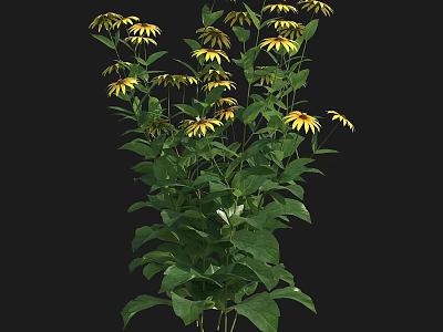 Vibrant Yellow Flowers With Lush Green Leaves In Natural Garden Setting 3d model