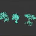 Three Decorative Trees With White Flowers Pink Blossoms Bare Branches And Exposed Roots Artistic