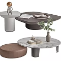 Modern coffee table coffee table combination 3d model