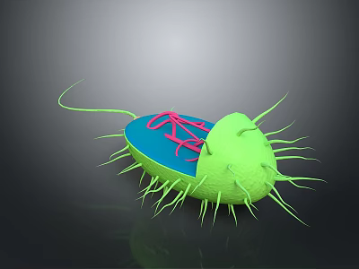 Green Microbial Cell Featuring Blue Section Pink Organelles and Hair like Cilia 3d model
