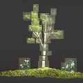 Artistic Cubed Arbor Design With Green Grass And Small Plants Around