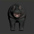Hippo With Open Mouth Gray And Pink Skin Smooth Texture On Dark Background