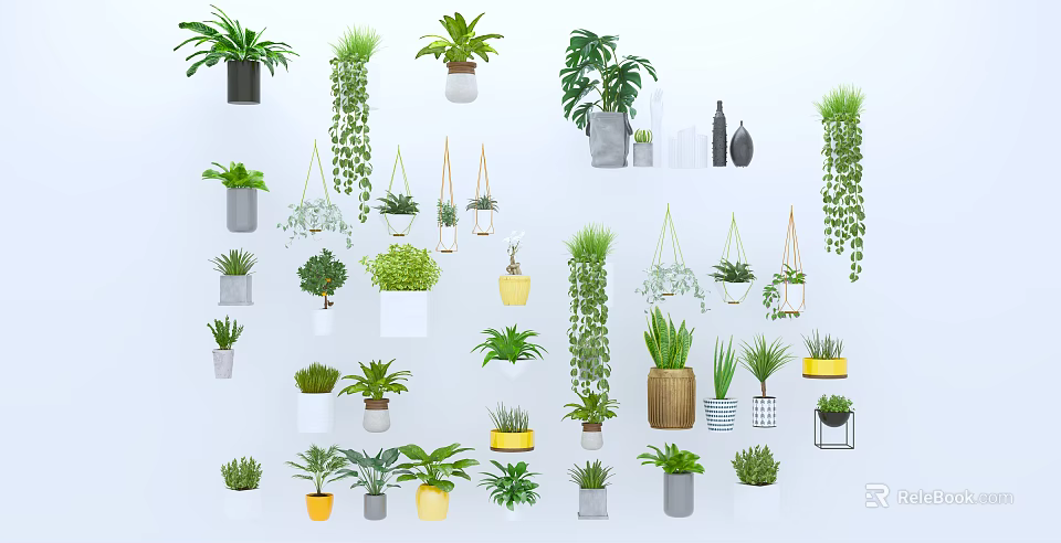 Various Indoor Potted Plants With Hanging Styles And Decorative Pots Collection 3d model 