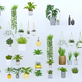Various Indoor Potted Plants With Hanging Styles And Decorative Pots Collection