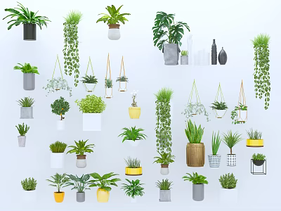 Various Indoor Potted Plants With Hanging Styles And Decorative Pots Collection 3d model
