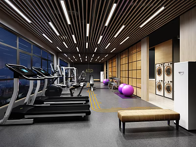 Modern Gym Interior With Treadmills Fitness Ball Bench And Wooden Walls 3d model