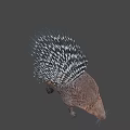Realistic Porcupine With Long Black And White Quills And Brown Body