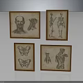 Four Framed Vintage Anatomical Illustrations Featuring Human Organs And Hair Details