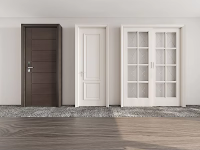 Modern Hinged Doors in Dark Brown White and Glass Panel Interior Styles 3d model