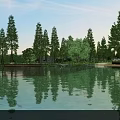 Garden Landscape with Calm Water Body Tall Trees Clear Reflections and Lush Greenery