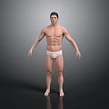 Shirtless Muscular Man With Toned Physique In White Underwear On Grey Background