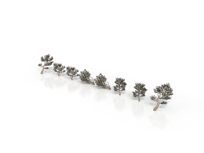 Decorative Small Tree Models Arranged in a Row on White Background 3d model