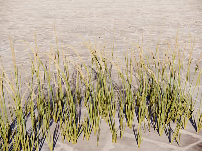 Green Grass Blades Growing On Sandy Ground With Natural Texture And Shadows 3d model