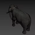 Realistic 3D Elephant Model With Detailed Skin Texture And Ivory Tusks