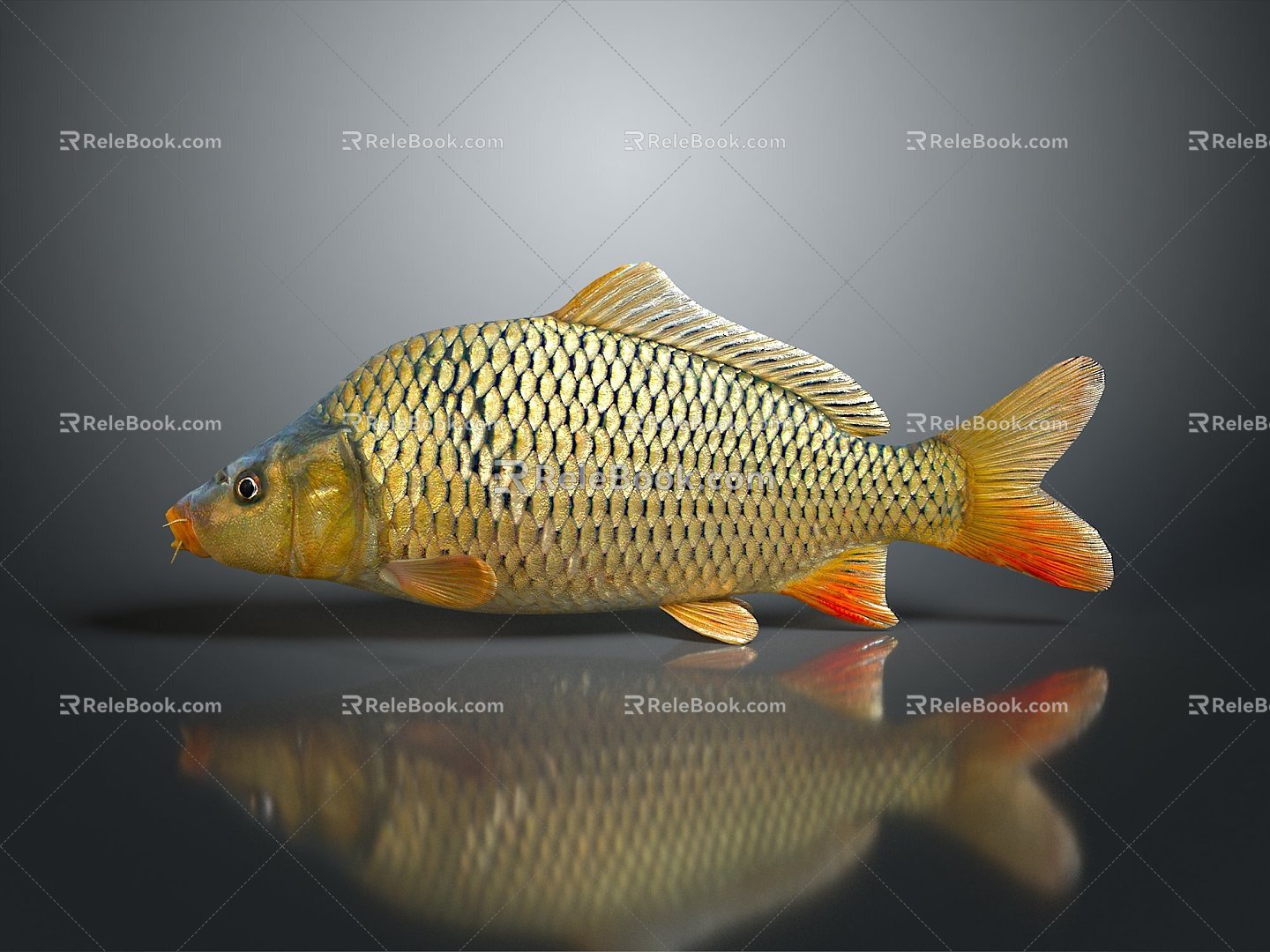 Fish Freshwater Fish Sea Fish Animal Game Animal Cartoon Animal Realistic Animal 3d model