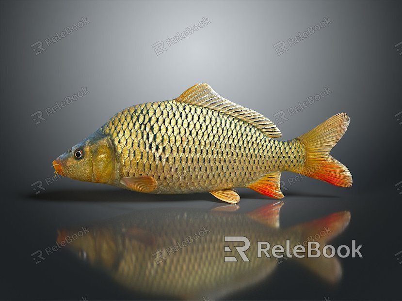 Fish Freshwater Fish Sea Fish Animal Game Animal Cartoon Animal Realistic Animal model